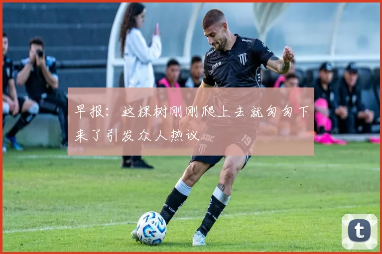 早报：这棵树刚刚爬上去就匆匆下来了引发众人热议